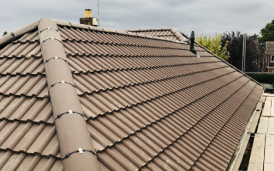 Roof - Brown - Double Roman
