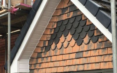 Fascia and dry verge
